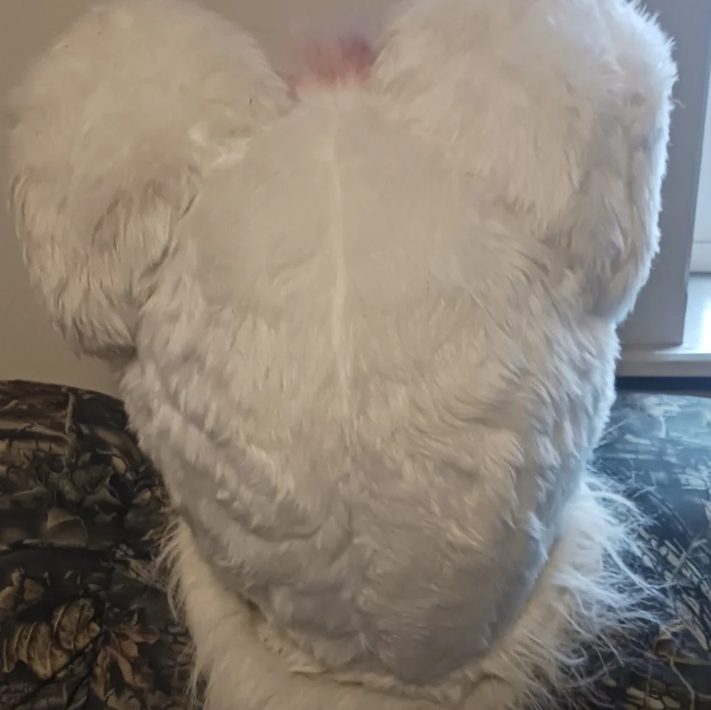 Husky Furrysuit - Picture 2 of 11